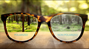 POLARIZED LENSES